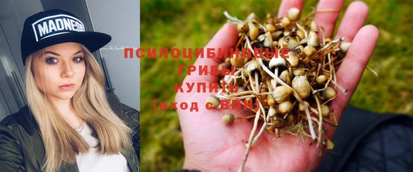 амф Остров
