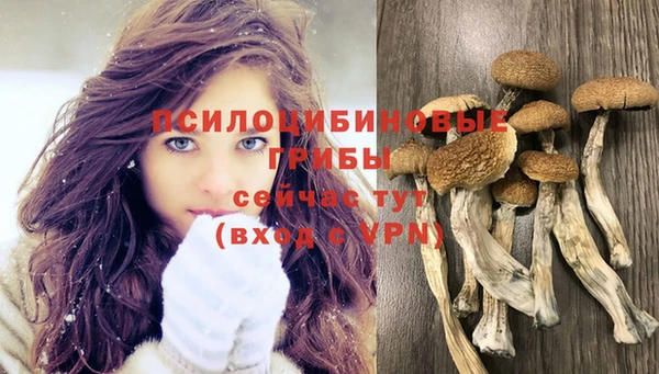 синтетический гашиш Осташков